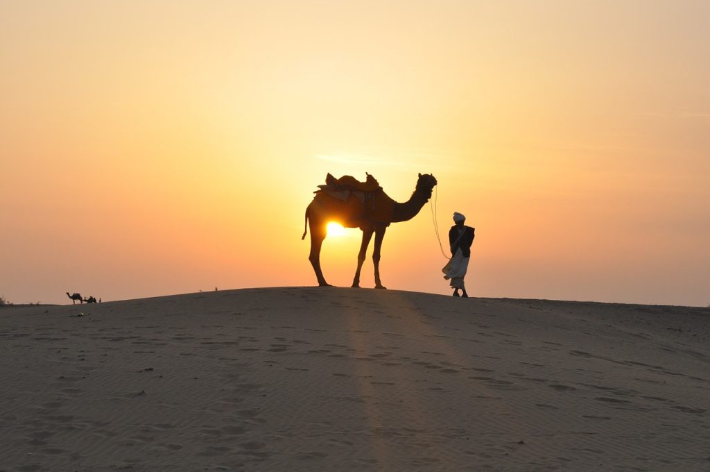desert, sunset, camel-695079.jpg