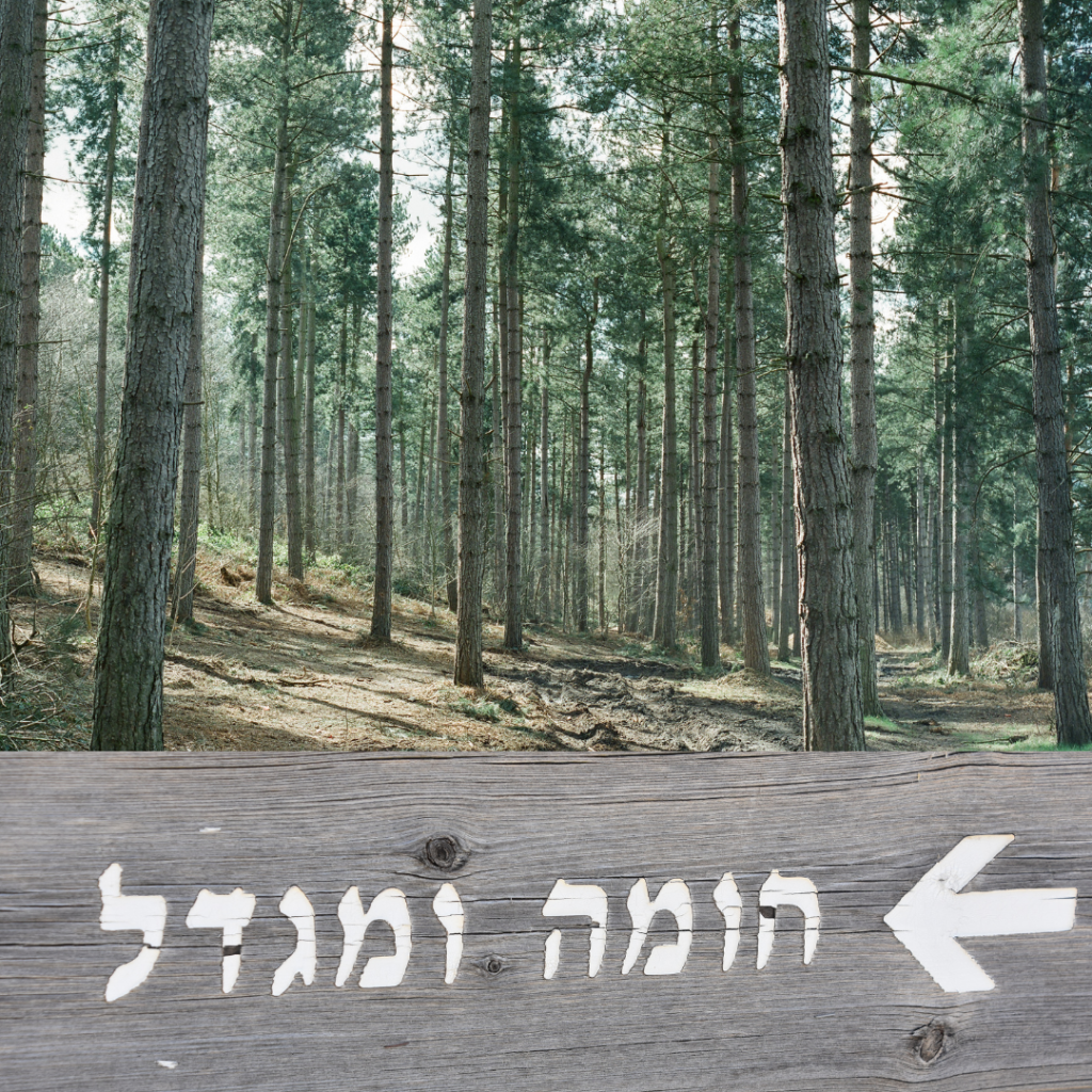 אתר חומה ומגדל יער חניתה - 4kids אתר האטרקציות של ישראל