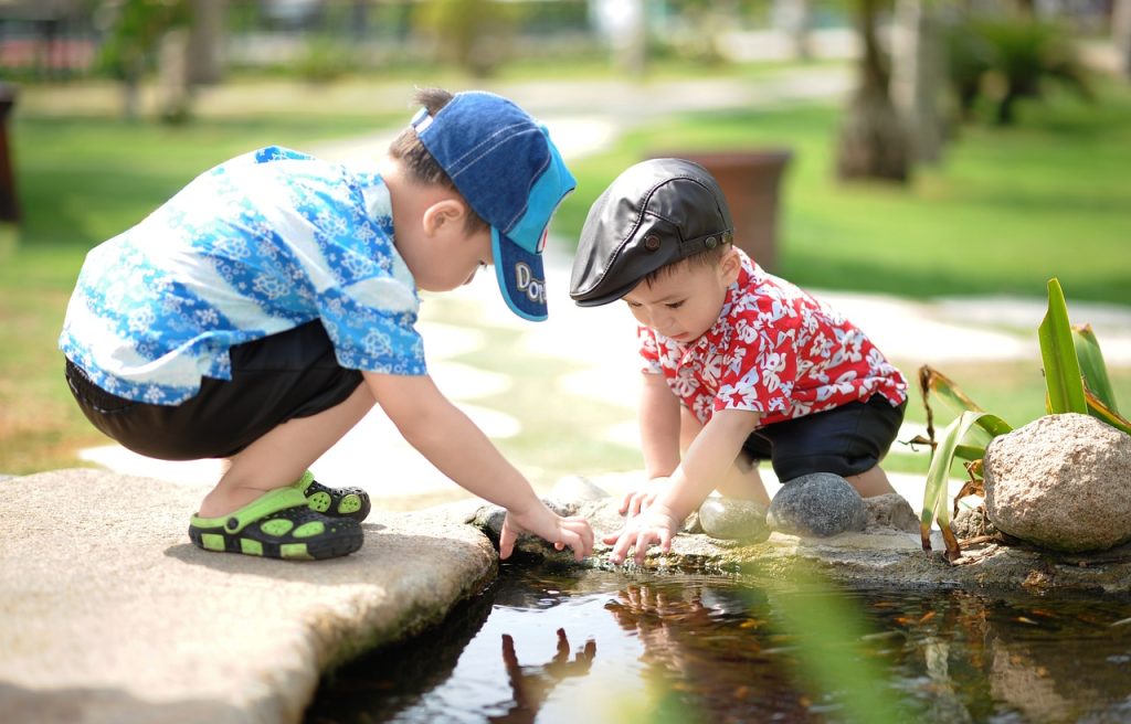 people, little boys, park, children, happy, kids playing, cute, happiness, children playing, childhood, friendship day, children, children, children, children, children, kids playing, children playing-1560569.jpg